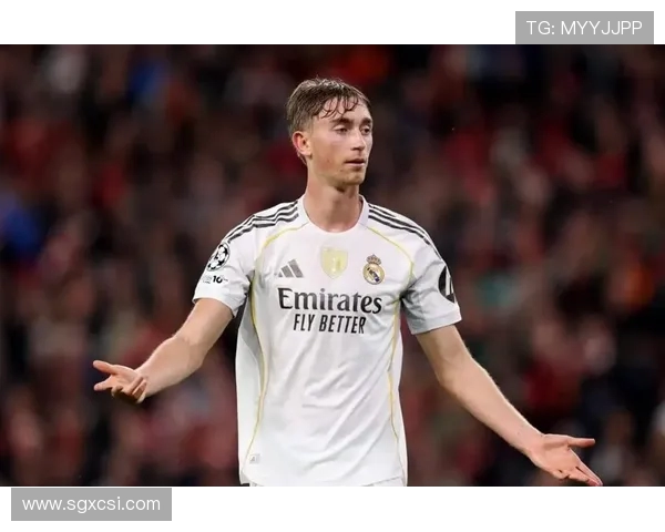 皇马 U21 引援 TOP10：贝林 1.13 亿创纪录，赫伊森 5950 万违约金加盟(2)